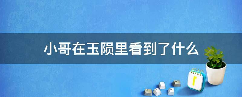 小哥在玉陨里看到了什么 小哥从陨玉里出来说没时间了