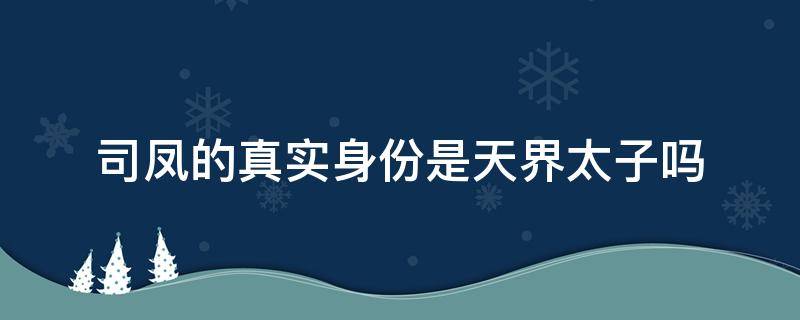 司凤的真实身份是天界太子吗 琉璃司凤的真实身份是天界太子吗