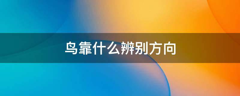 鸟靠什么辨别方向 鸟靠什么辨别方向英文阅读