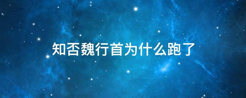 知否魏行首为什么跑了 知否知否里的魏行首真实身份