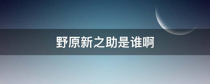 野原新之助是谁啊（野原新之助百度百科）