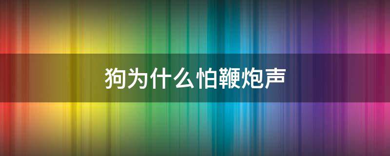 狗为什么怕鞭炮声（狗狗怕鞭炮响）