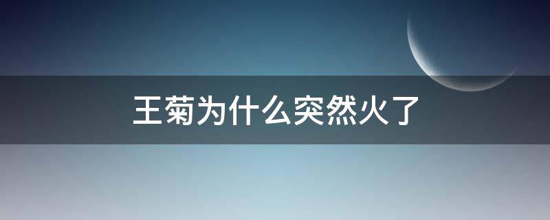 王菊为什么突然火了（王菊不火了）