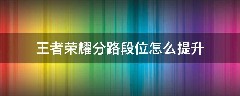 王者荣耀分路段位怎么提升（王者荣耀分路段位怎么提升等级）