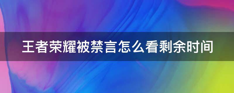 王者荣耀被禁言怎么看剩余时间 王者荣耀被禁言怎么看剩余时间多久