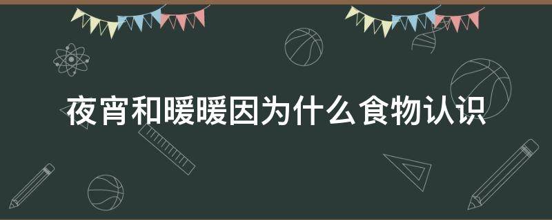 夜宵和暖暖因为什么食物认识 夜宵和暖暖因为什么食物认识的