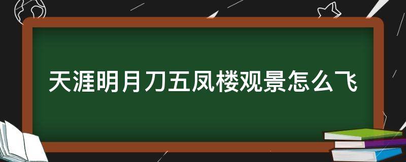 天涯明月刀五凤楼观景怎么飞（天涯明月刀手游五凤楼观景怎么飞上去）