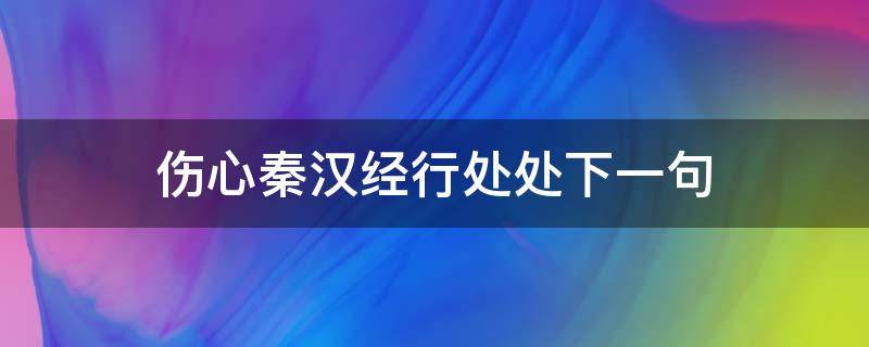 伤心秦汉经行处处下一句 伤心秦汉经行处伤心的意思