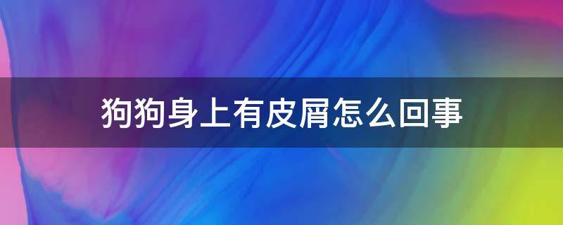 狗狗身上有皮屑怎么回事 狗狗身上有皮屑是怎么回事儿