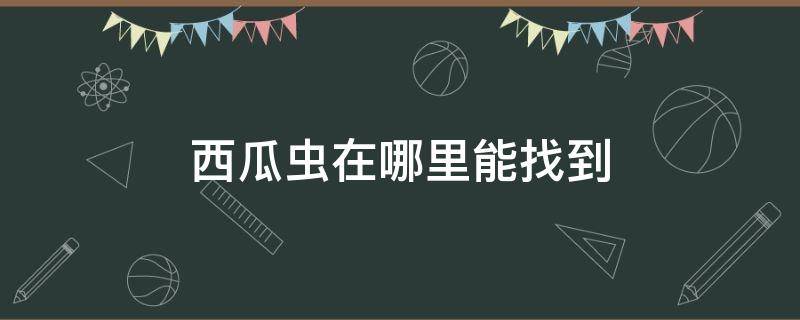 西瓜虫在哪里能找到 西瓜虫哪里可以找到