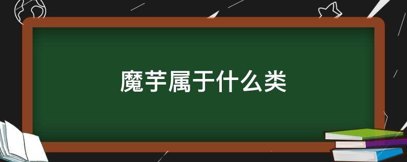 魔芋属于什么类 魔芋属于什么类蔬菜