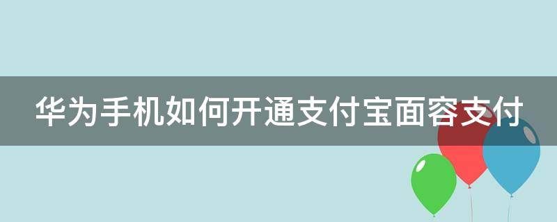 华为手机如何开通支付宝面容支付