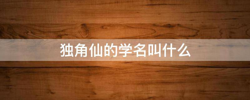 独角仙的学名叫什么（独角仙的学名叫什么 干什么）