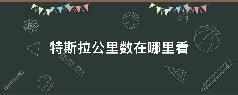 特斯拉公里数在哪里看 特斯拉在哪里看车辆里程