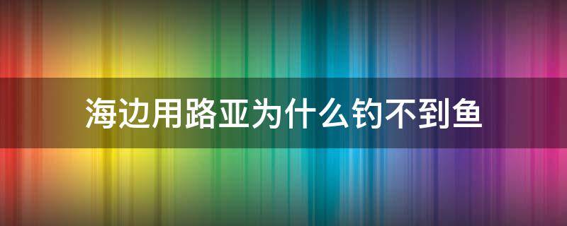 海边用路亚为什么钓不到鱼（海边可以用路亚竿钓鱼吗）