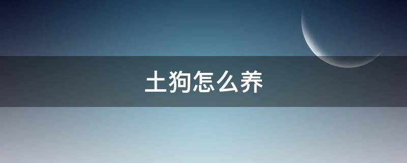 土狗怎么养 大量养殖土狗怎么养