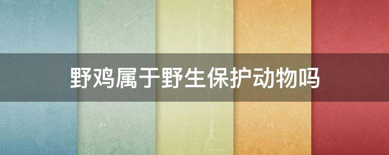 野鸡属于野生保护动物吗 野鸡属不属于野生保护动物