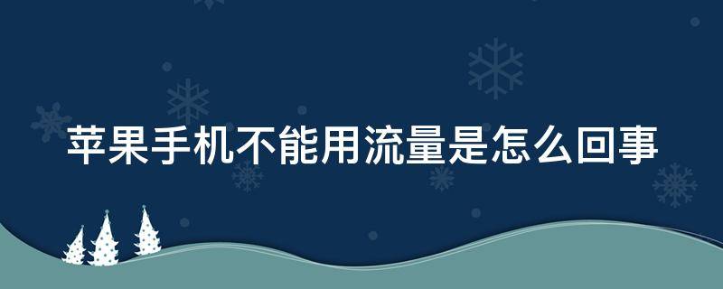 苹果手机不能用流量是怎么回事（苹果手机不能用流量什么原因）