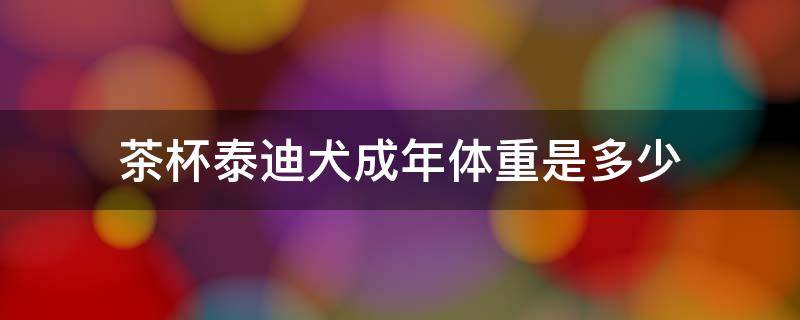 茶杯泰迪犬成年体重是多少 茶杯犬泰迪体重标准