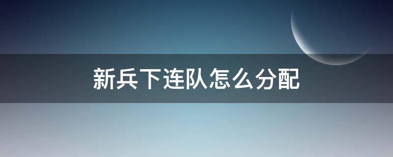 新兵下连队怎么分配（火箭军新兵下连队怎么分配）