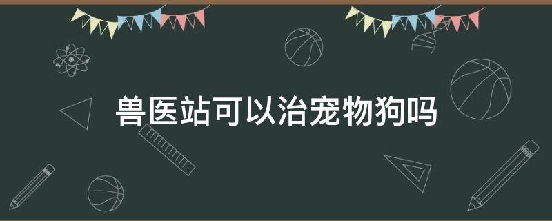 兽医站可以治宠物狗吗 畜牧站可以治疗狗狗吗