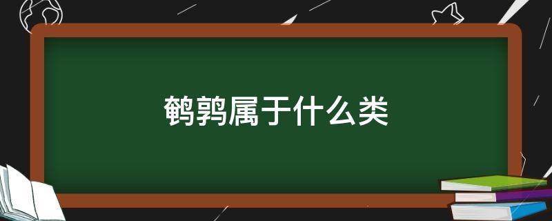 鹌鹑属于什么类 鹌鹑属于什么类的