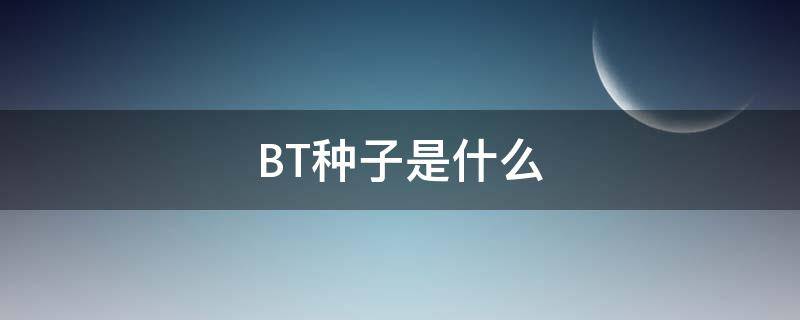 BT种子是什么 BT种子是什么意思