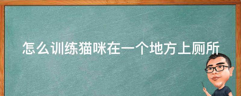 怎么训练猫咪在一个地方上厕所（怎样训练猫在固定地方大小便）