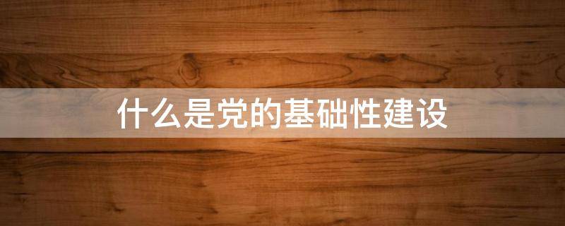 什么是党的基础性建设（我们党的最大政治优势是）