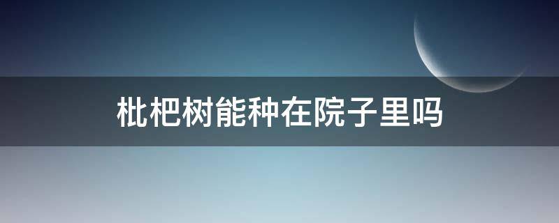 枇杷树能种在院子里吗（院子里可以种枇杷树吗）