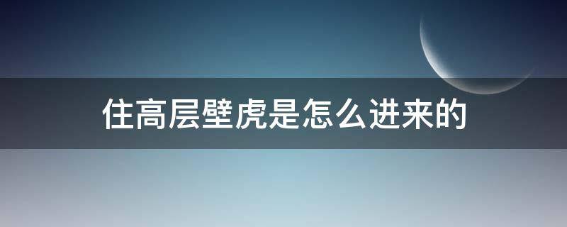 住高层壁虎是怎么进来的 高层的壁虎是怎么进来的