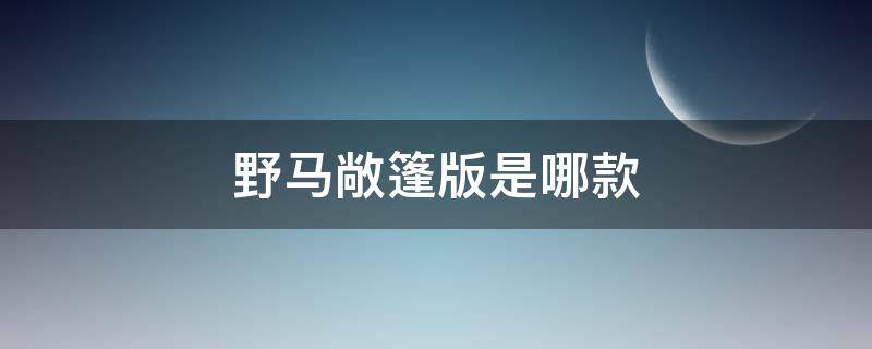 野马敞篷版是哪款（野马哪个版本可以敞篷）