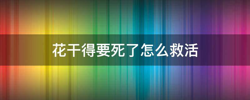 花干得要死了怎么救活（养的花干了怎么救活）