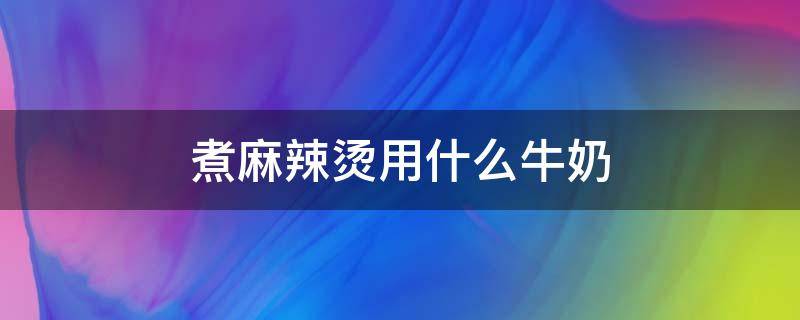 煮麻辣烫用什么牛奶（煮麻辣烫加什么牛奶）