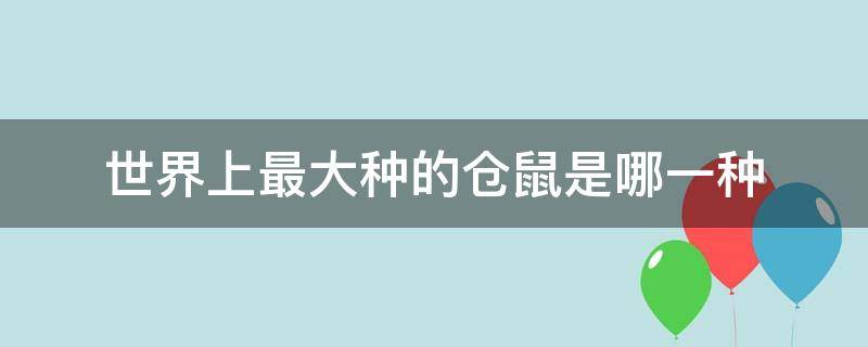 世界上最大种的仓鼠是哪一种 世界上最大的仓鼠品种