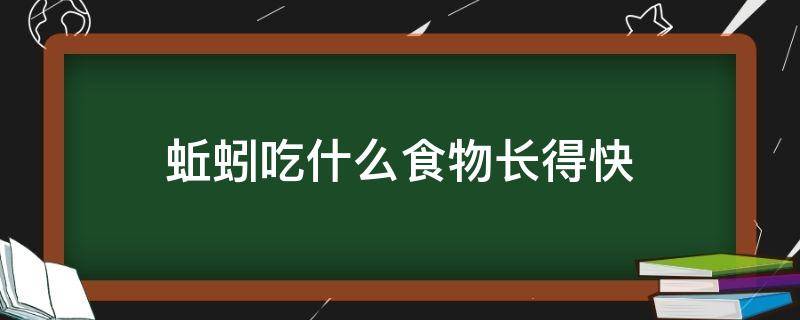 蚯蚓吃什么食物长得快（蚯蚓喜欢吃啥食物）