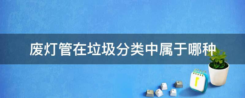 废灯管在垃圾分类中属于哪种 废灯管在垃圾分类中属于什么类的