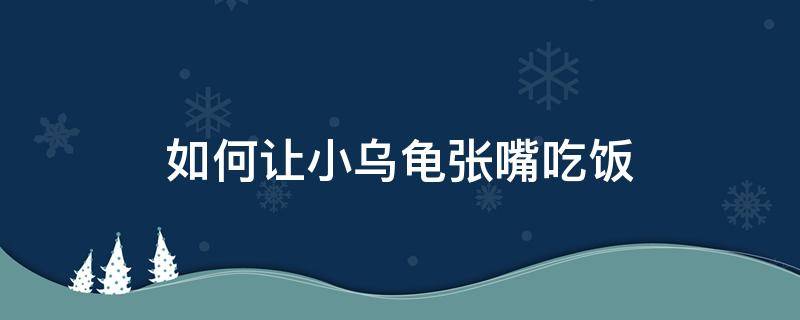 如何让小乌龟张嘴吃饭（怎么能让小乌龟张嘴）