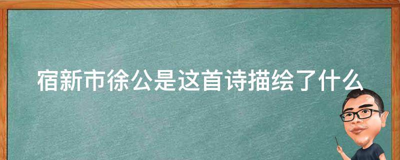 宿新市徐公是这首诗描绘了什么（宿新市徐公店这首诗描绘了怎样的情景）