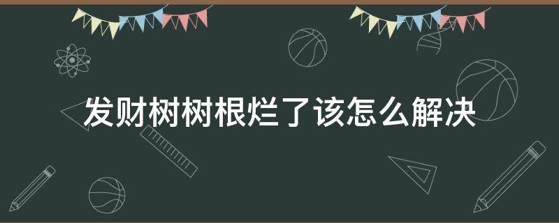 发财树树根烂了该怎么解决（发财树树根烂了怎么处理）