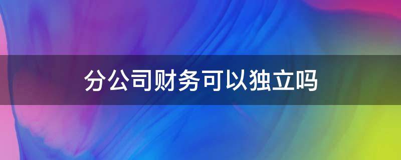 分公司财务可以独立吗（分公司可以独立财务核算吗）