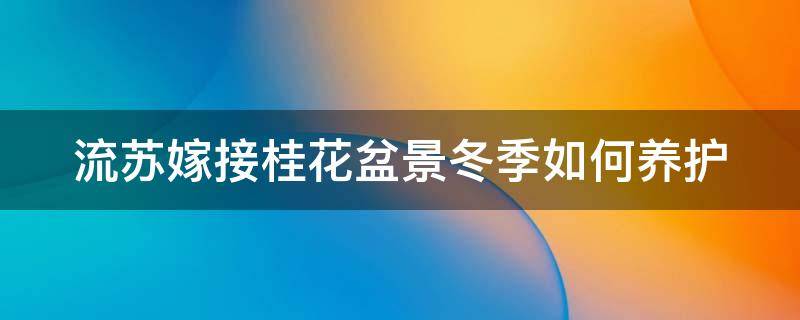 流苏嫁接桂花盆景冬季如何养护 流苏嫁接桂花盆景冬季如何养护呢