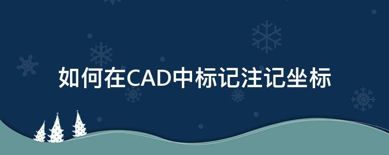 如何在CAD中标记注记坐标（CAD如何进行坐标标注）