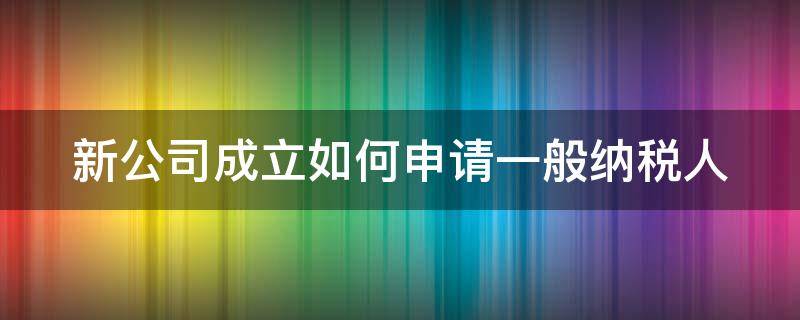 新公司成立如何申请一般纳税人（新公司成立如何申请一般纳税人资格）