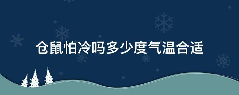 仓鼠怕冷吗多少度气温合适（仓鼠的怕冷吗）