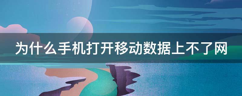 为什么手机打开移动数据上不了网（我的手机开启移动数据上不了网是什么原因）