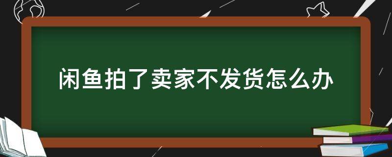 闲鱼拍了卖家不发货怎么办 闲鱼 拍卖得 但 卖家 不发货怎么办