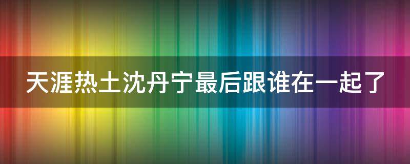 天涯热土沈丹宁最后跟谁在一起了（天涯热土沈丹宁与林汉杰的结局）