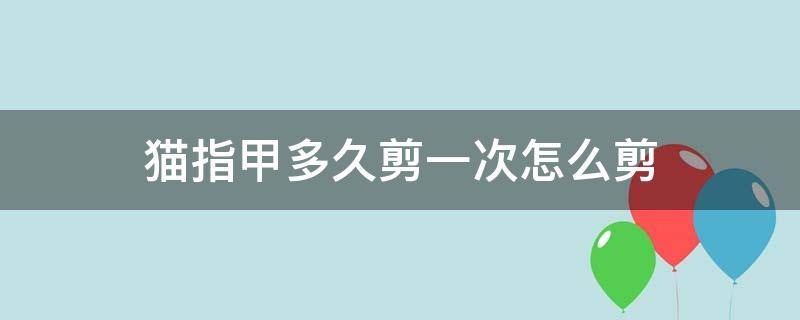 猫指甲多久剪一次怎么剪 猫指甲多久剪一次,怎么剪