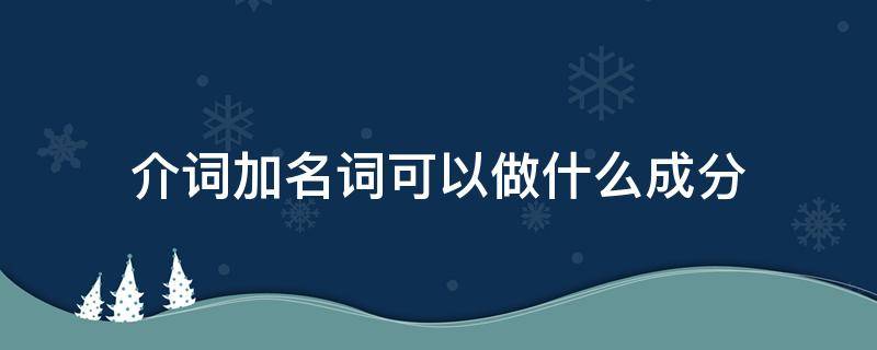 介词加名词可以做什么成分（介词加名字做什么成分）